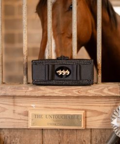 Black Colette - Black Flat Bow with Black Oval Disc with Triple Horsehead