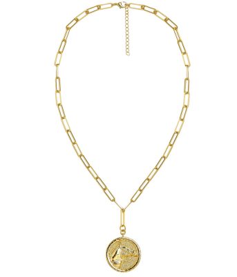 Horsehead Disc Charm Necklace - Paperclip Chain - 18k Gold Plated